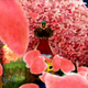Illustration for article titled Little Kings Story Screens From The Heart